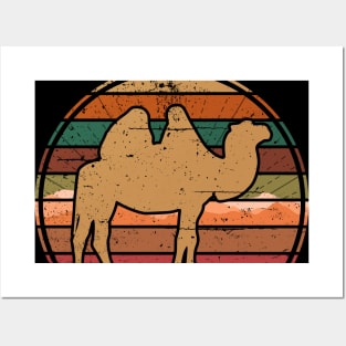 Camel Sunset Posters and Art